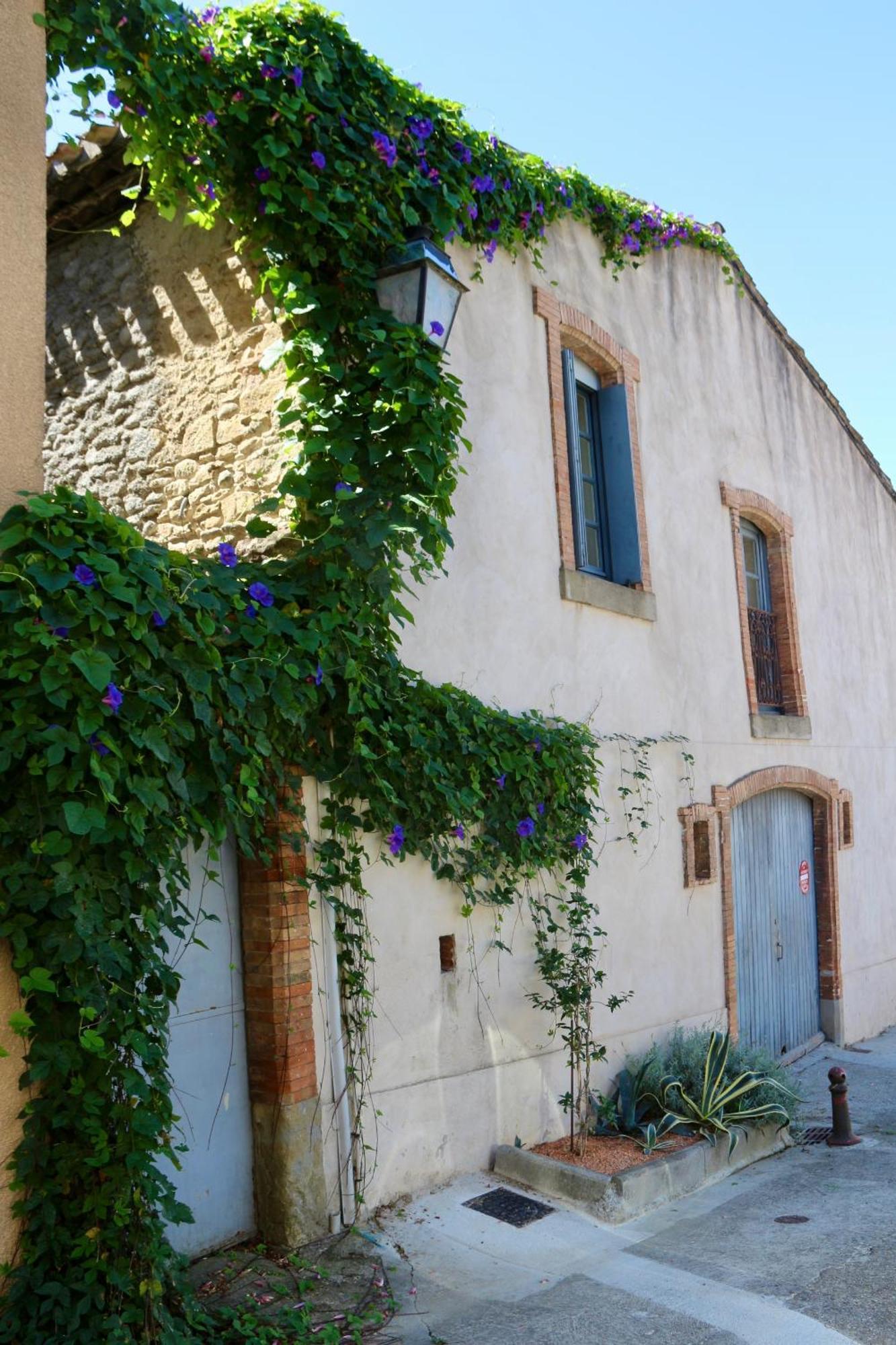 La Cite Secrete Villa Carcassonne Ngoại thất bức ảnh