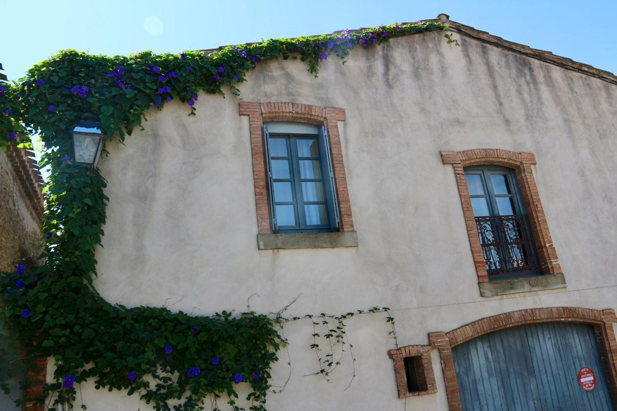 La Cite Secrete Villa Carcassonne Ngoại thất bức ảnh